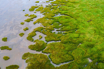Green shapes on the water by aerial shot