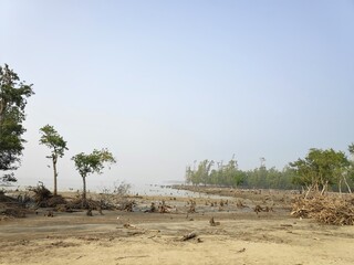 Inside the largest mangrove forest Sundarban in Bangladesh 