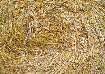 Bales of straw are illuminated by the sun.