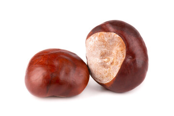 Horse chestnuts fruits, isolated on white background. Aesculus hippocastanum.