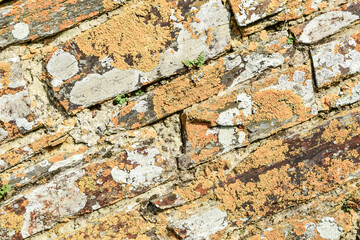 Old brick wall with white and red bricks background. vintage brick wall texture