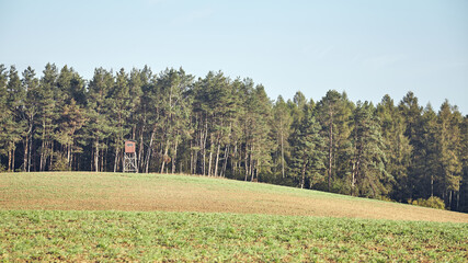 Autumnal landscape with wooden hunting tower on the edge of forest, color toning applied.