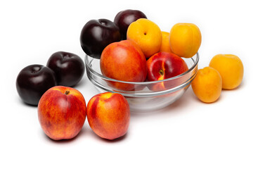 nectarine, peach and plum on a white background