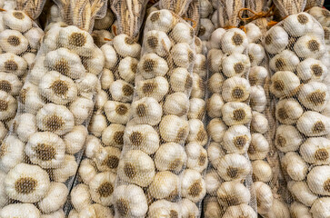 White dry garlic pile texture. Pile of white garlic heads