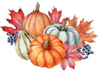 Watercolor illustration with pumpkins and leaves isolated on the white background.Hand painted watercolor clipart.