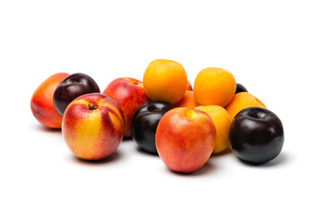 nectarine, peach and plum on a white background