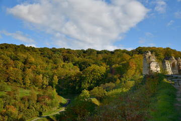 Couleurs contrastées d'automne