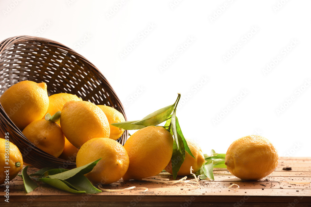 Wall mural Group of freshly picked harvest lemons in basket isolated white