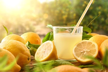 Fotobehang freshly squeezed lemon juice in a lemon orchard close up © Davizro Photography