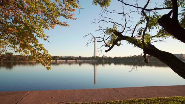 Washington Monument in Washington DC, USA - Washington National Mall