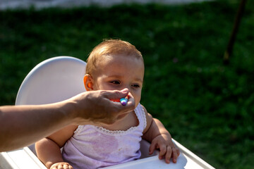 Smiling 6 month old baby girl in nature in high chair being feed solid food by mother with spoon....