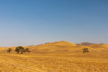 Obraz premium Scenic sunny landscape in Pinnacle National Park, California