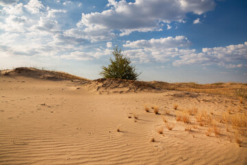 Beautiful desert landscape with dunes. Walk on a sunny day on the sands.