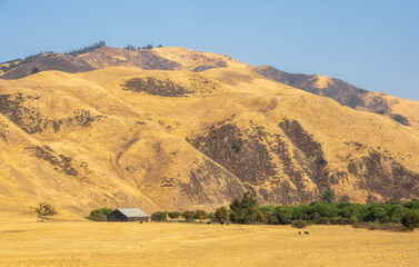Fototapeta premium Scenic sunny landscape in Pinnacle National Park, California
