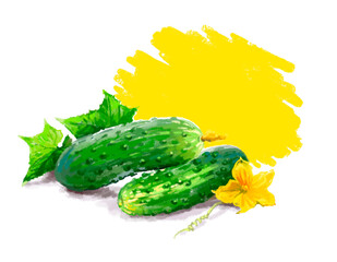 Vegetable set. Onion, radish, cucumber, blot. Harvest and Thanksgiving fruit of nature, food collection for restaurants, menus, posters and grocery bags. Graphics and color