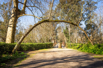 Nacional Woods of Choupal, Coimbra