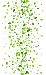 Lime Greens Tea Vector Design. Wind Leaf Pattern. 