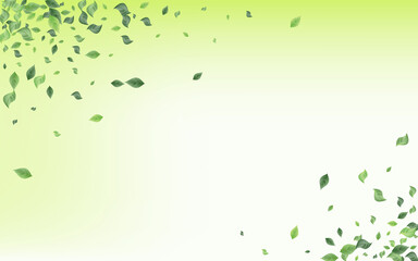 Swamp Greenery Flying Vector Green Background 