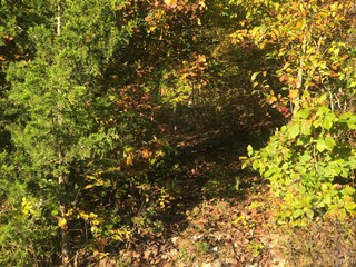 Fall hidden pathway