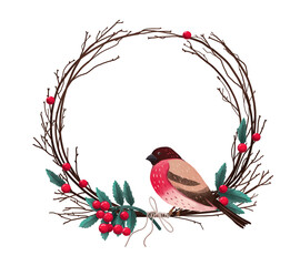 Winter Birds and Berries. Colorful  illustration.