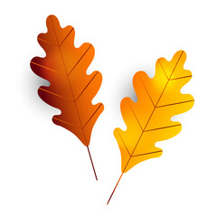 Two autumn oak leaves. Leaf icon. Branch. Herbarium, botany.