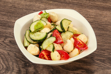 Salad with vegetables and mozzarlla