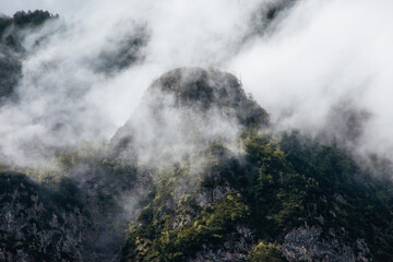 Dramatic and mysterious fog over forest and mountains in Bohinj, Slovenia
