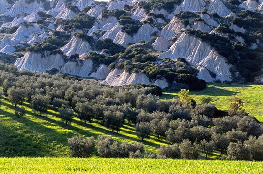 Aliano, Badlands near the village, Italy, Basilicata, Europe