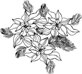 Poinsettia christmas flower. Hand drawn vector black and white. Holiday concept for greeting card gift branding. Christmas time