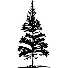 Silhouette of spruce tree vector