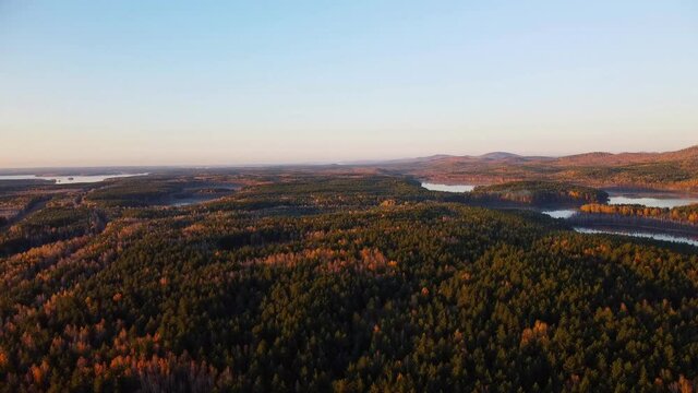 drone flight over trees to lake in autumn at dawn. Dense protected forests in autumn