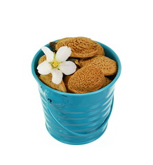 Almond nut in shell and shelled with almond flower isolated on white background close up