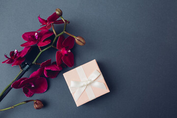 Gift box with jewelry. Present box with ribbon and burgundy orchid flowers. Space