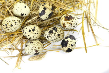 Quail eggs in a straw nest isolated on white background.