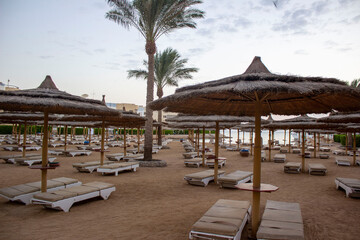 Morning beach with sunbeds and umbrellas