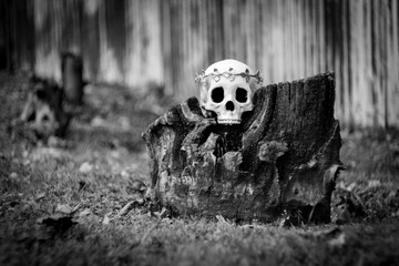 King Queen Skull Crown © Ezume Images