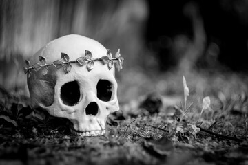 King Queen Skull Crown
