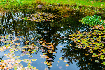 Mid autumn in Quebec city