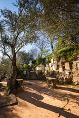 Penedo da Saudade, Coimbra