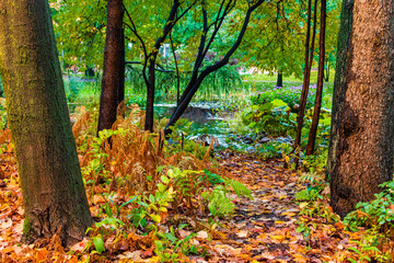 Mid autumn in Quebec city