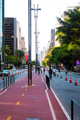 Fototapeta na wymiar Paulista Avenue São Paulo Brasil