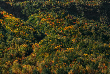 Fototapeta premium Colorful autumn forest, horizontal view. Mountain forest in autumn. Colorful mountains in autumn. Beautiful autumn landscape. Copy space