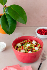 Bulgur with cheese, pepper, eggplant and pomegranate. Healthy eating. Vegetarian food. Diet.