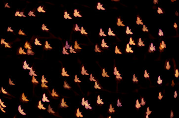 abstract dove bokeh background christmas concept