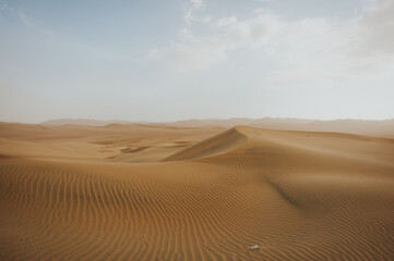 Fototapeta na wymiar sand dunes in the desert / Peru Huacachina Oasis