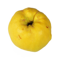 quince on a white background, isolate