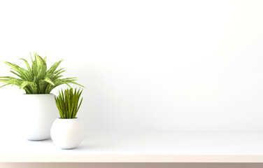Shelf on white wall with green plants. 3D rendering