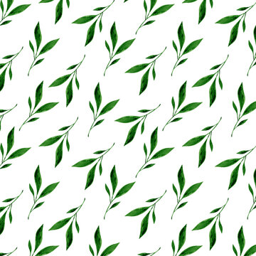 Watercolor pattern semlles illustration botanical