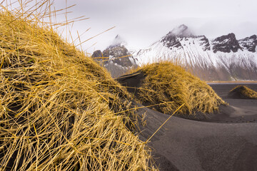 Fototapeta premium Stokksnes península, Hofn, Southern Iceland, Iceland, Europe