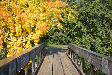 Fototapeta na wymiar Autumn landscape with a bridge and yellow trees